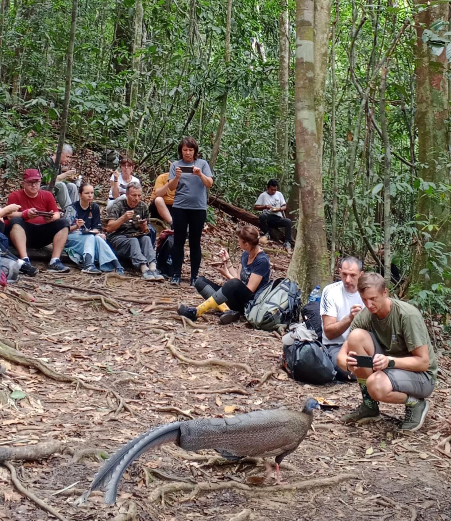 Sama Sama Homestay & Trekking Only Stay Here Book Trekking And Transport With Us Bukit Lawang Zewnętrze zdjęcie