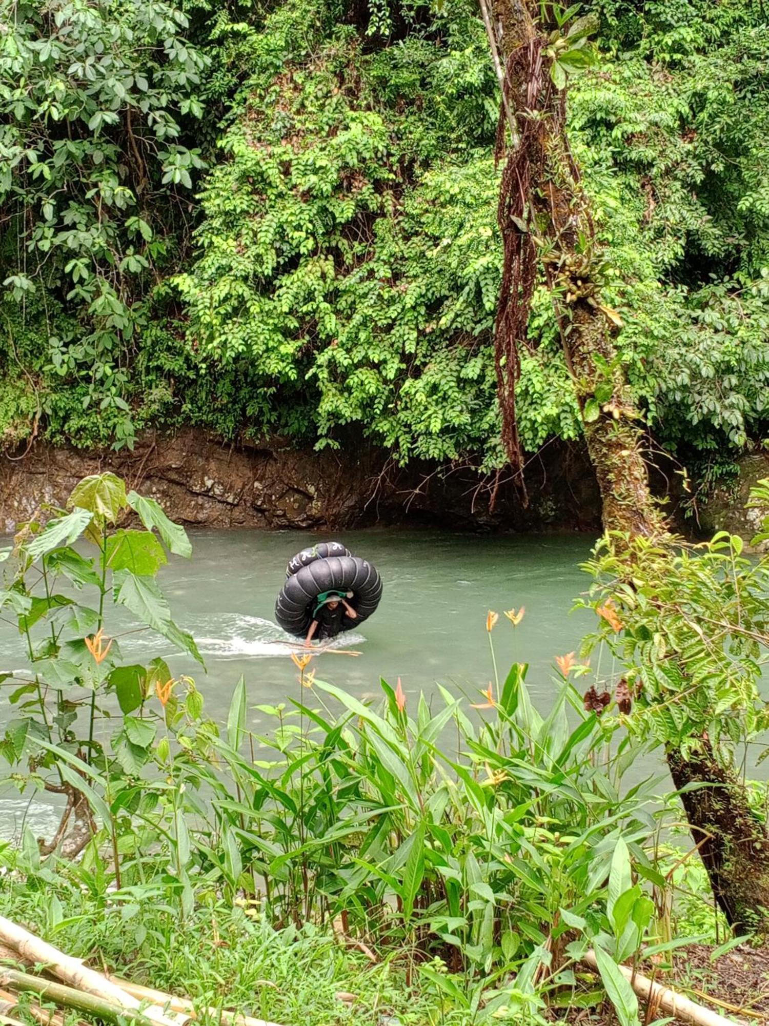 Sama Sama Homestay & Trekking Only Stay Here Book Trekking And Transport With Us Bukit Lawang Zewnętrze zdjęcie