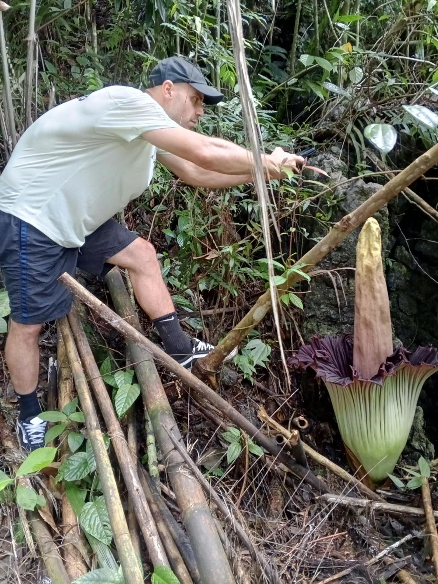 Sama Sama Homestay & Trekking Only Stay Here Book Trekking And Transport With Us Bukit Lawang Zewnętrze zdjęcie
