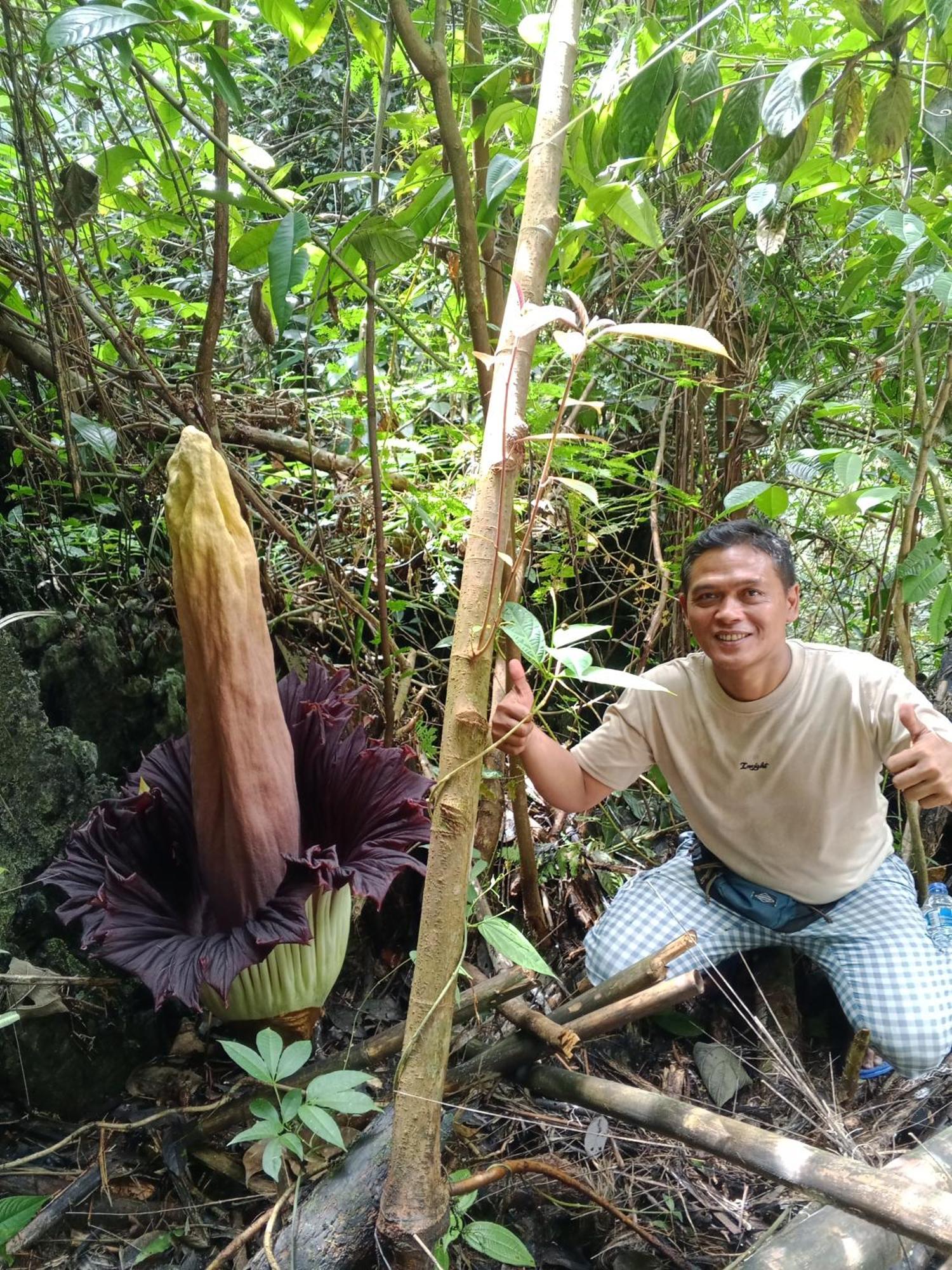 Sama Sama Homestay & Trekking Only Stay Here Book Trekking And Transport With Us Bukit Lawang Zewnętrze zdjęcie