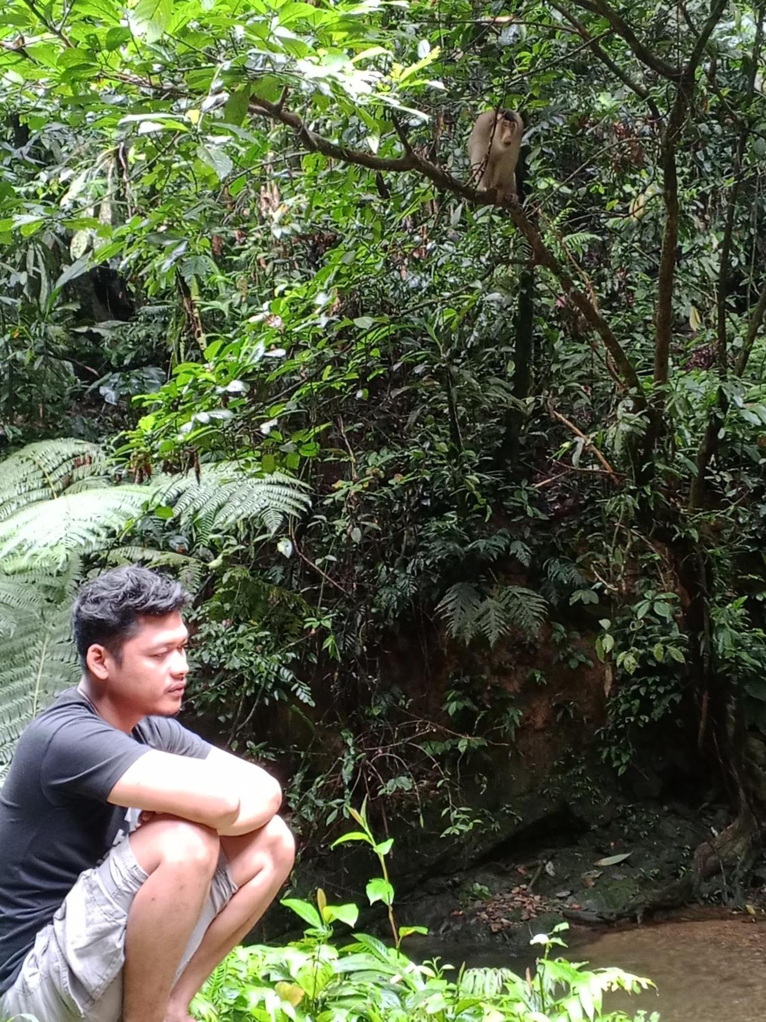 Sama Sama Homestay & Trekking Only Stay Here Book Trekking And Transport With Us Bukit Lawang Zewnętrze zdjęcie