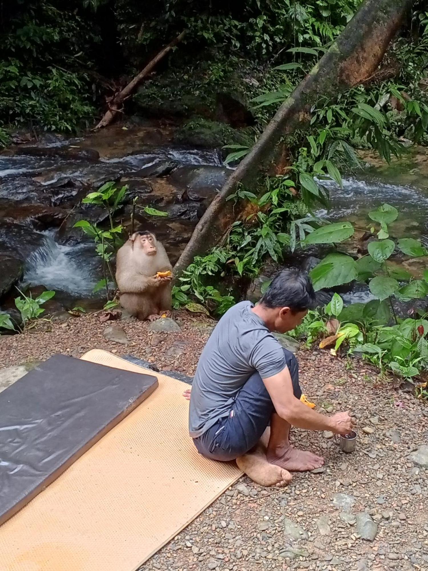 Sama Sama Homestay & Trekking Only Stay Here Book Trekking And Transport With Us Bukit Lawang Zewnętrze zdjęcie