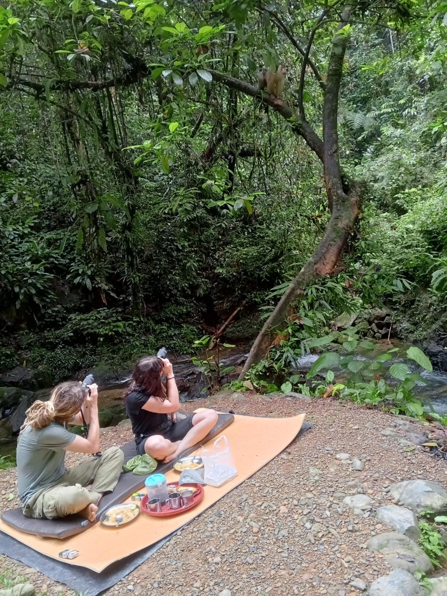 Sama Sama Homestay & Trekking Only Stay Here Book Trekking And Transport With Us Bukit Lawang Zewnętrze zdjęcie